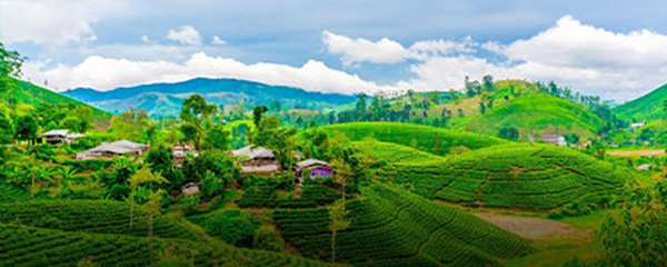 Sri Lanka Tour